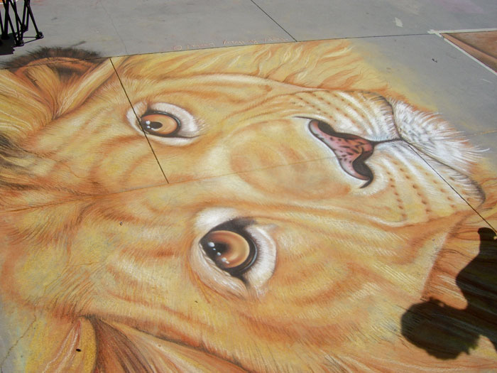 Lion on Chalk